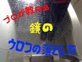 永久保存版　鏡のウロコ（水垢）とる方法