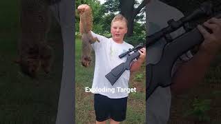 Pellet Gun Exploding Target and my recent Squirrel Kill. screenshot 4