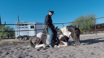 Colt lying down under gunfire