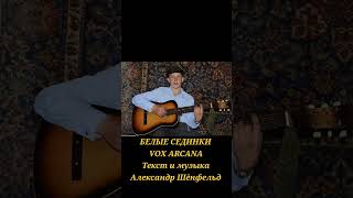#Белые сединки #VOX ARCANA #Александр Шёнфельд #музыка #fypシ゚viral #музыкаонлайн #музика