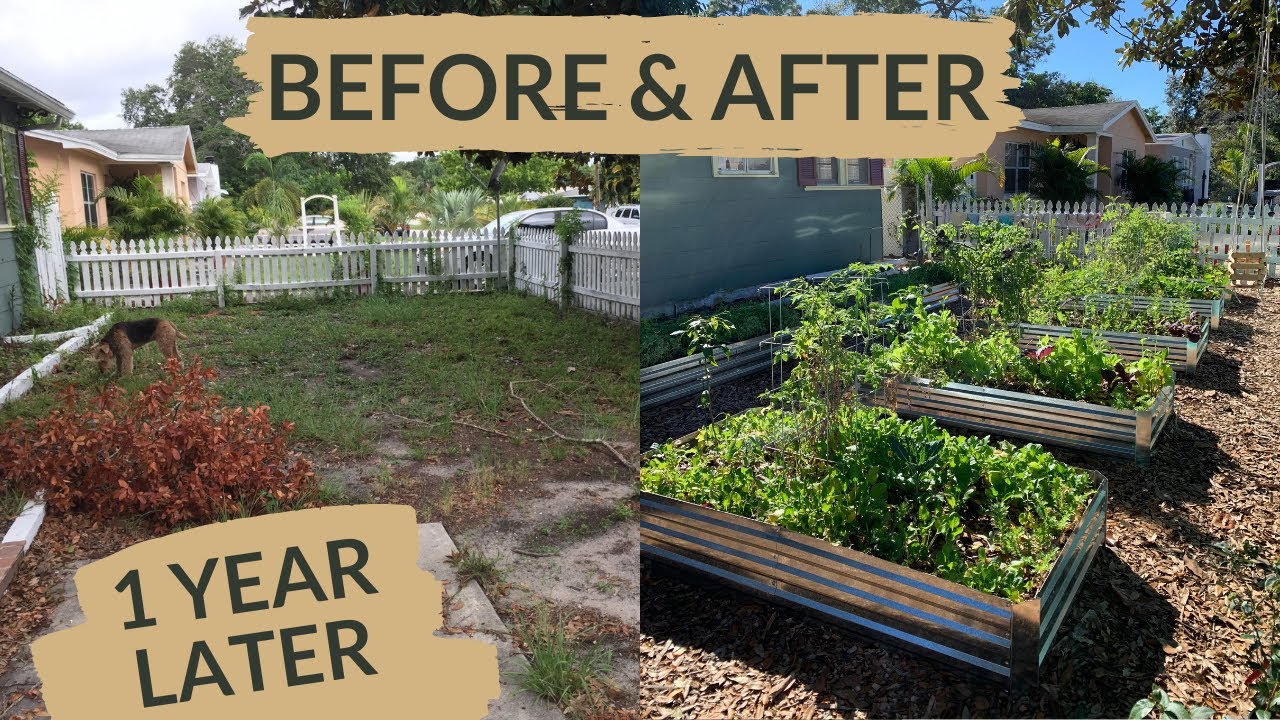 Urban Homestead Garden One Year Later