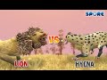 Lion vs Hyena | Lion vs Animal Level Challenge [S1E8] | SPORE