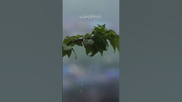 {أَلَا يَعْلَمُ مَنْ خَلَقَ وَهُوَ اللَّطِيفُ الْخَبِيرُ } سورة الملك الآيات ١٢-١٣-١٤ الشيخ المنشاوي