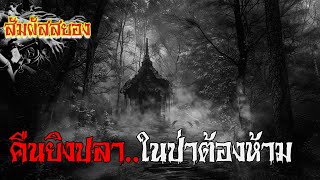 EP.954 | คืนยิงปลา..ในป่าต้องห้าม | เรื่องผี | สัมผัสสยอง