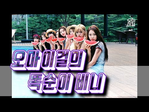 오마이걸 똑순이 보컬 비니의 위키