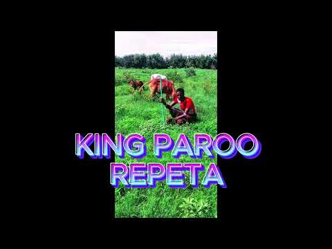 REPETA KING PAROO 