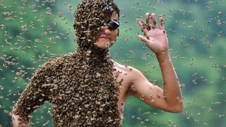 Дикая Природа ! Пчелы войны !!! Животные с National Geographic