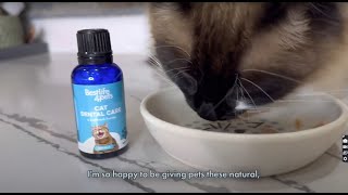 The Best Cost-Effective Cat Bad Breath Remedy? - BestLife4Pets Cat Dental & Bad Breath