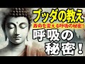 【ブッダの教え】人生を変える秘密の呼吸！最後まで視聴すると人生時間を伸ばせます！