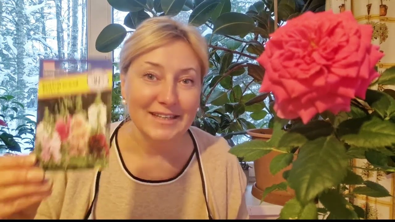 План посева цветов в новом сезоне.