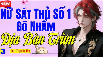 Kết Đặc Biệt Hay - NỮ SÁT THỦ SỐ 1 GÕ NHẦM ĐỊA BÀN TRÙM - Tiểu Thuyết Ngôn Tình Hắc Băng