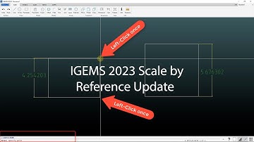 IGEMS 2023 Scale by Reference Update
