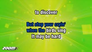 Paul Carrack - Don&#39;t Let The Sun Catch You Crying - Karaoke Version from Zoom Karaoke