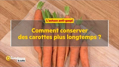 Comment conserver les carottes râpées le plus longtemps ?