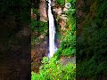 Beauty of Nature, this Waterfall located in phalelung wad no.3 5thar of Nepal 🇳🇵 😀 1 subscribe plz🙏