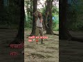 গজারি বনে পাগলের নৃত্য 🍁 #viralvideo #nature #beautiful #tranding #viral #shorts