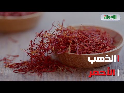 سعره أغلى من الذهب لماذا جرام توابل الزعفران في مصر ب320 جنيه والكيلو ب32 ألف جنيه
