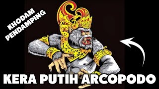 Khodam Kera Putih Arcopodo