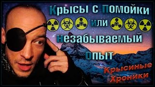 Спасение | Крысы с помойки, или незабываемый опыт! (Fancy Rats | Декоративные крысы) Спасение | Крысы с помойки, или незабываемый опыт! (Fancy Rats | Декоративные крысы)