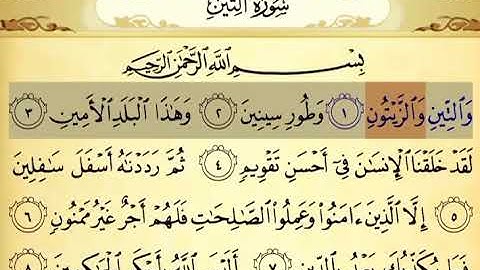 سورة التين ١-٣ ‏تكرار ٣ مرات