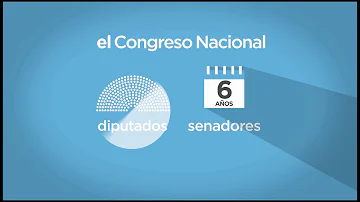 ¿Por qué son 128 senadores?