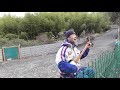 天に届け お花畑へ 弾き語り♪ 兵庫県民謡より 菅笠節