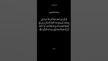 سورة الأنعام الآية ١٩ القارئ ماهر المعيقلي #تذكير_بالله_عز_و_جل #الدال_على_خير_كفاعله