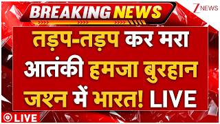 Good News Form Pakistan LIVE: तड़प-तड़प कर मरा आतंकी हमजा बुरहान, जश्न में भारत! LIVE