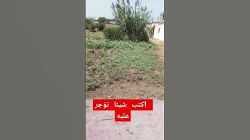 احلى يوم في الطبيعة عند خالتي ربيعة/تلاوة ماشاء الله تبارك الرحمان تابع وانشر تؤجر #اكسبلور