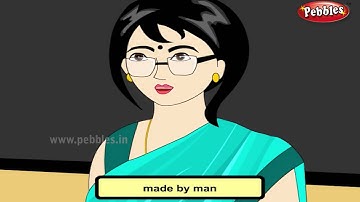 Science For Class 3 : Homes of Animals | Science Videos For Kids | Science Projects