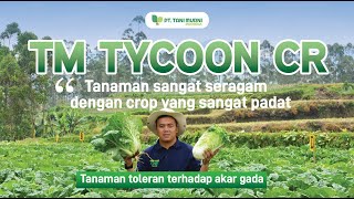 TM TYCOON CR Sawi Putih F1 Toleran Akar Gada screenshot 5