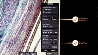 EVOS xl core Demo : Manual and On-Screen Controls