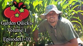 Garden Quickies Volume 1 - Episodes 1 to 10