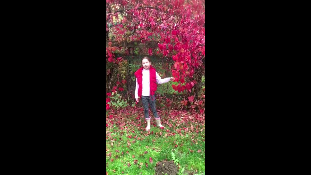 Сергей Есенин "Топи да болота..." #читаемЕсенина - YouTube