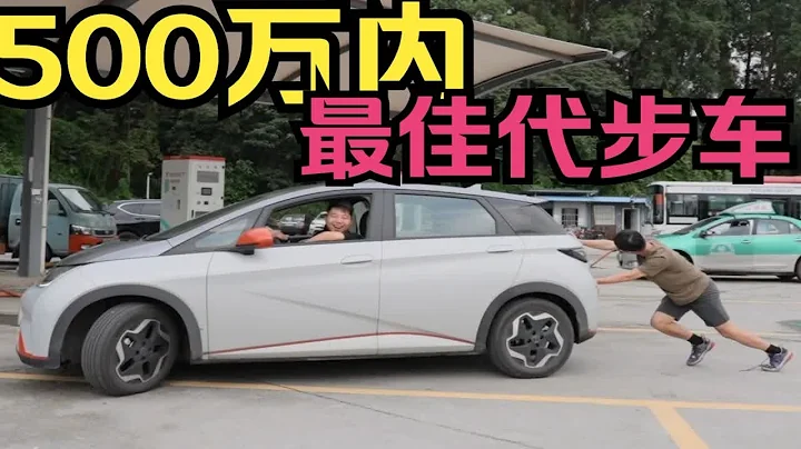 不讲笑，地球上还有比比亚迪海豚更好的代步车吗？ - 天天要闻