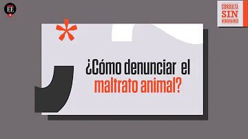 ¿Cómo denunciar a un criador de perros?