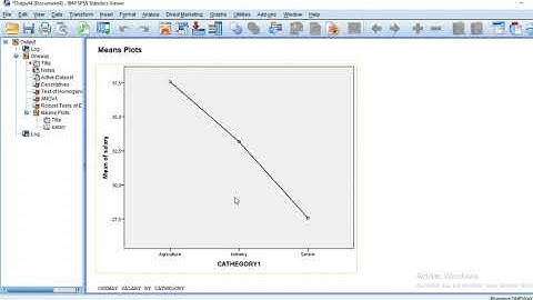 how to run and interpret one way ANOVA in SPSS