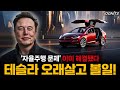 테슬라 오래살고 볼일 자율주행 문제 이미 해결됐다