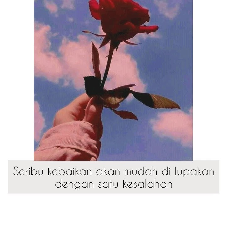 Ipank cinta hilang story whatsapp