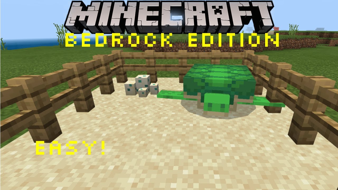 How To Find Turtles And Hatch Turtle Eggs Minecraft Bedrock Edition Youtube