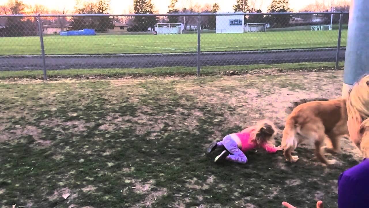 Dog Comes Out Of Nowhere To Tackle My Daughter YouTube