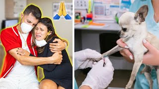 Our DOG Needs SURGERY! **EMOTIONAL**  | The Royalty Family