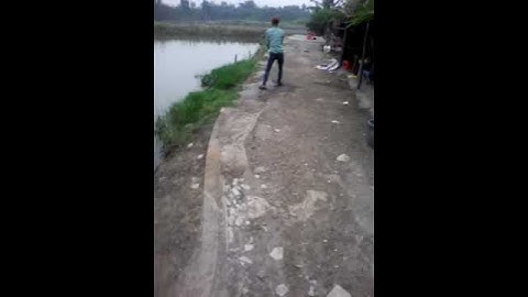 Hồ câu cá giải trí Quang Thuận