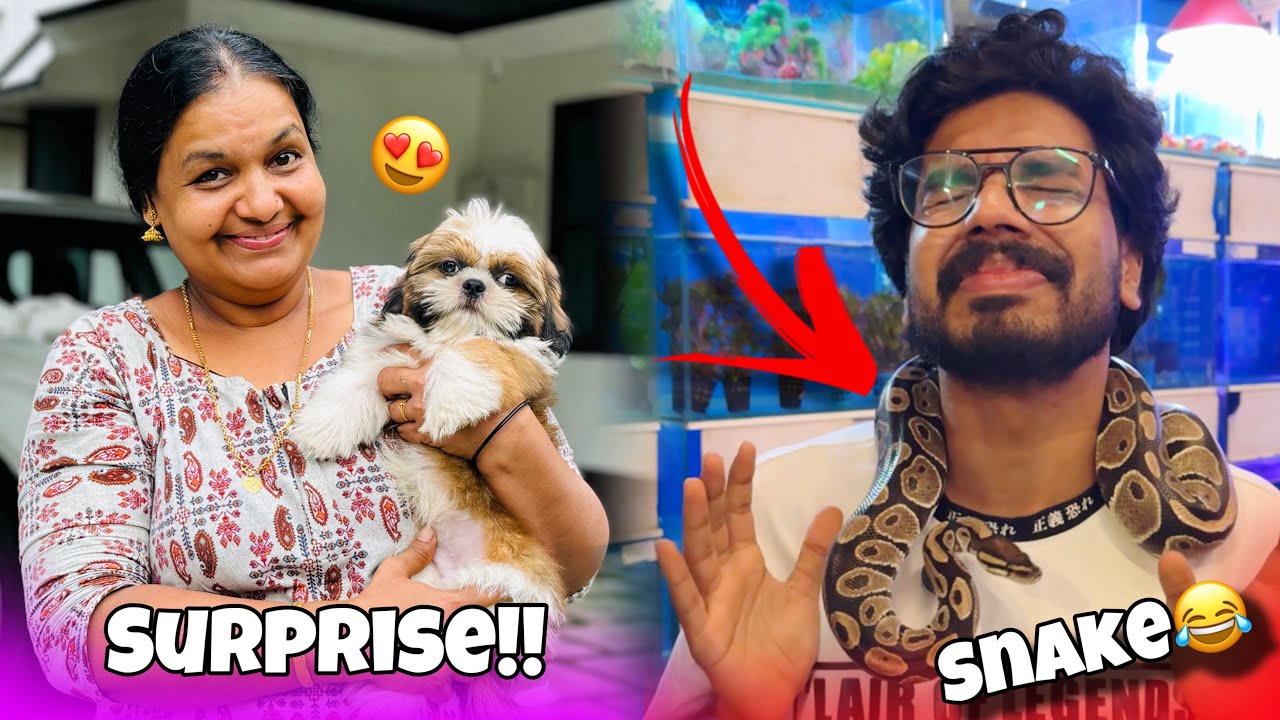SURPRISED AMMA🤩| NEW DOG😍 | SNAKE TRIED TO BITE 🐍