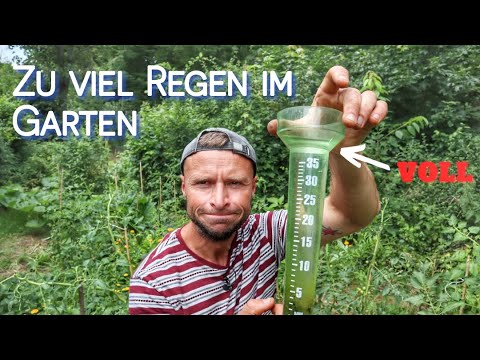 Video: So Schützen Sie Pflanzen Vor Anhaltendem Regen