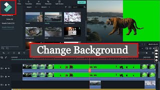 How To Remove Backgroun In Filmora Filmora Tutorial Pk Tips