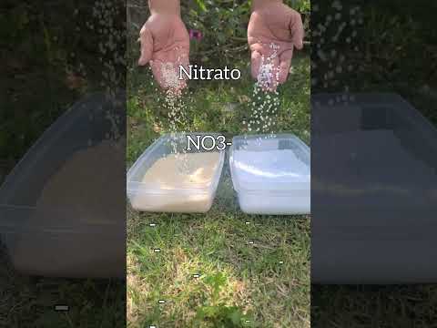 Video: Lixiviación en plantas y suelo - ¿Qué es la lixiviación?