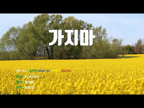 [은성 반주기] 가지마 - PLAYER