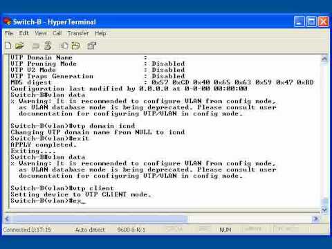 467   42  Configuring and Verifying VLANs   09  Configuring VTP Domains