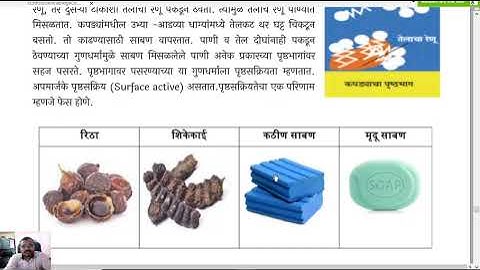 Bridge Course 8th Science 19-Activity